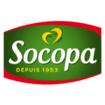 Socopa