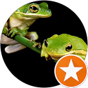 Photo de profil de VF L